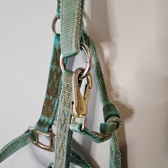 Colt Halter, used faded turquoise - Picture 5 of 6